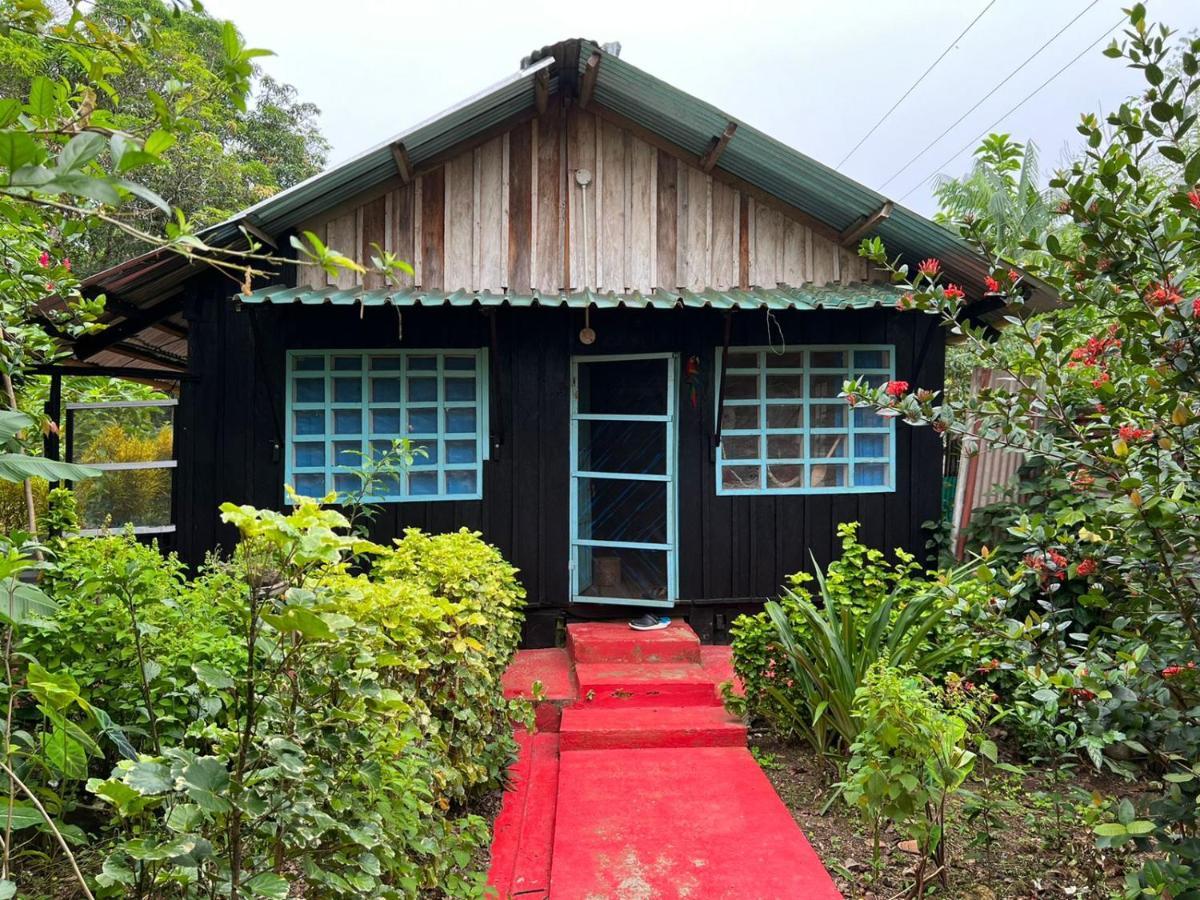 Flor De La Selva Apartment Puerto Nariño Екстериор снимка