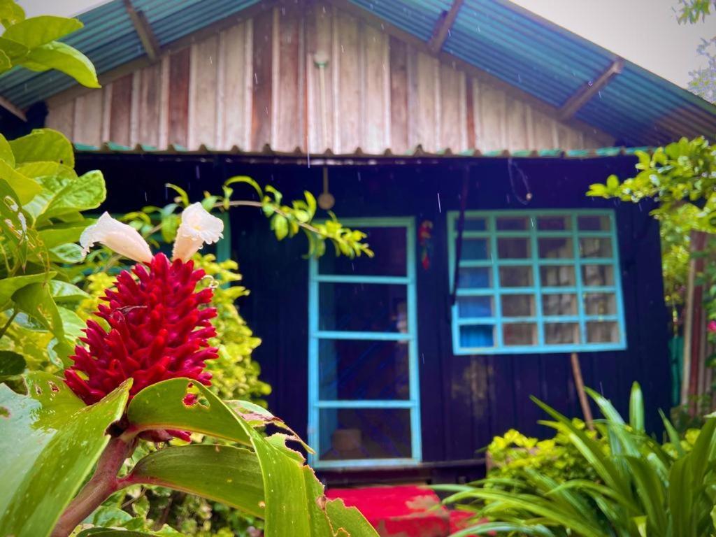 Flor De La Selva Apartment Puerto Nariño Екстериор снимка