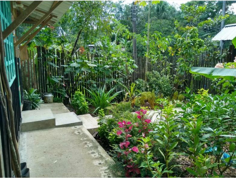 Flor De La Selva Apartment Puerto Nariño Екстериор снимка